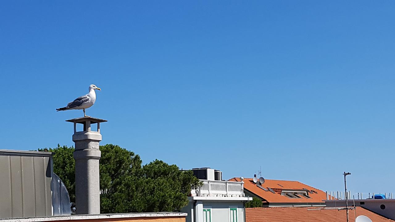 Hotel Le Pleiadi Bellaria-Igea Marina Luaran gambar